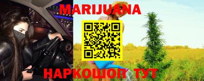 индика Заволжье