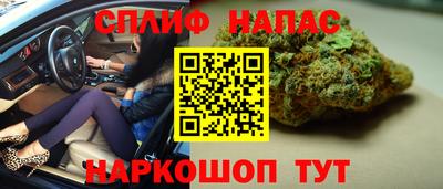 стаф Заводоуковск