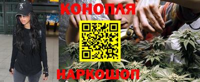 стаф Заводоуковск