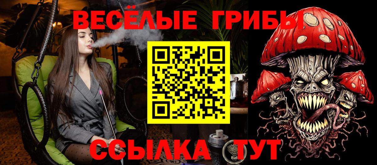 Псилоцибиновые грибы MAGIC MUSHROOMS Арзамас