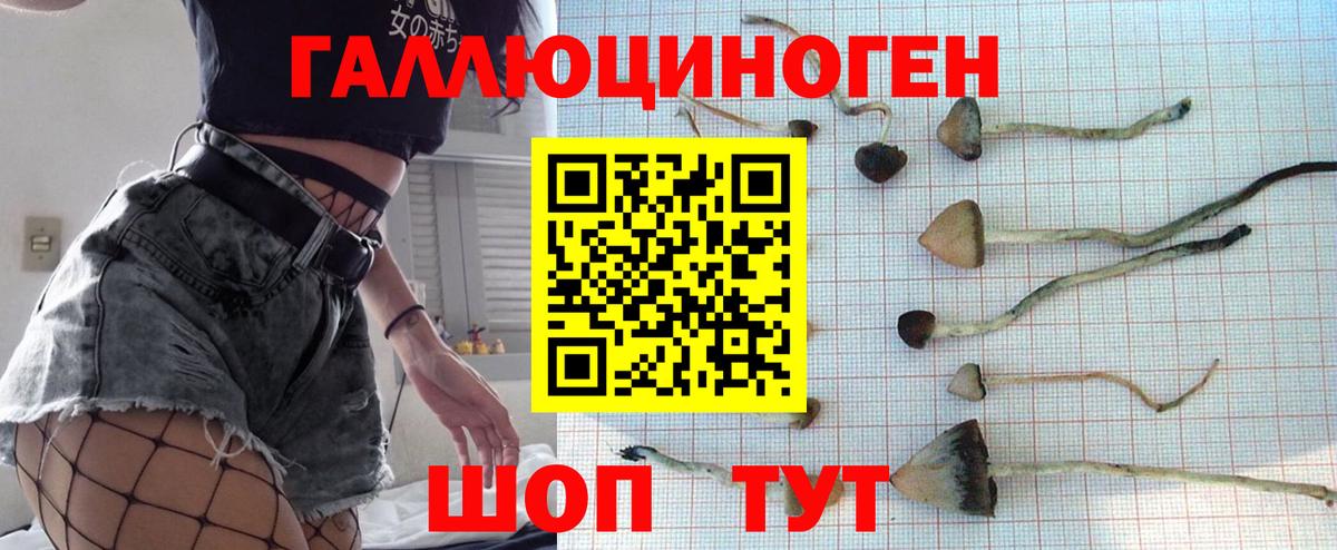 Галлюциногенные грибы Psilocybe  Вход с VPN  Псилоцибиновые грибы Psilocybine cubensis  Арзамас 
